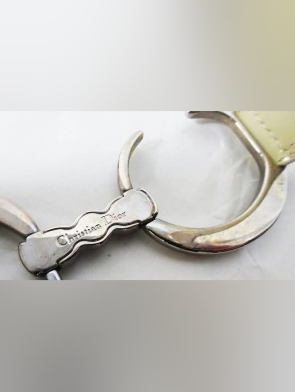 Dior Saddle - Picture 11 of 12